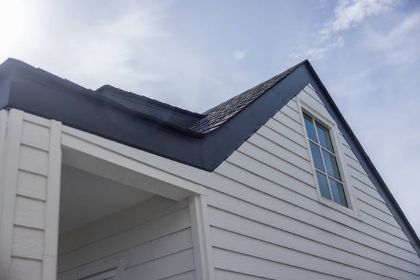 Best Custom Siding Design  in Alamosa East, CO